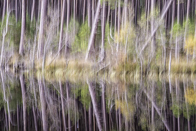 Loch Mallachie, Cairngorms, Scotland